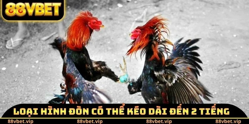 Đá Gà 88vbet - Mãn Nhãn Với 100++ Trận Đỉnh Cao Mỗi Ngày 3 Loại hình đòn có thể kéo dài đến 2 tiếng