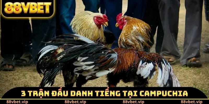 Giới thiệu 3 trận đấu danh tiếng tại Campuchia