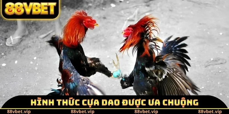 Hình thức cựa dao được ưa chuộng